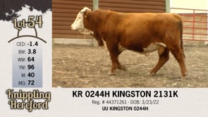 Lot #54 - KR 0244H KINGSTON 2131K