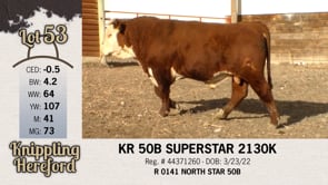 Lot #53 - KR 50B SUPERSTAR 2130K