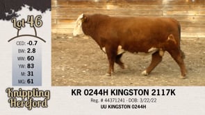 Lot #46 - KR 0244H KINGSTON 2117K