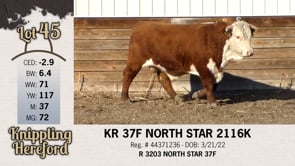 Lot #45 - KR 37F NORTH STAR 2116K