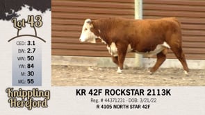 Lot #43 - KR 42F ROCKSTAR 2113K