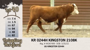 Lot #40 - KR 0244H KINGSTON 2108K