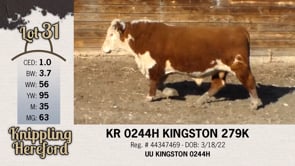 Lot #31 - KR 0244H KINGSTON 279K