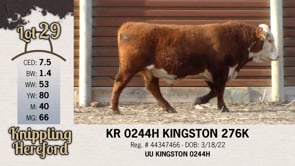 Lot #29 - KR 0244H KINGSTON 276K