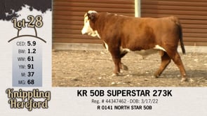 Lot #28 - KR 50B SUPERSTAR 273K