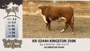 Lot #24 - KR 0244H KINGSTON 259K