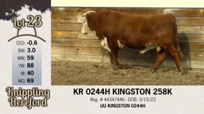 Lot #23 - KR 0244H KINGSTON 258K