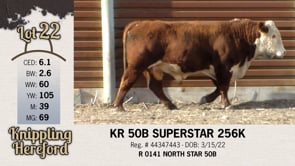 Lot #22 - KR 50B SUPERSTAR 256K