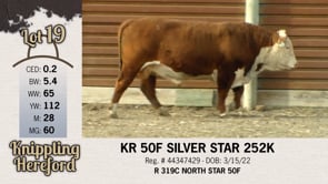 Lot #19 - KR 50F SILVER STAR 252K