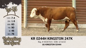 Lot #15 - KR 0244H KINGSTON 247K