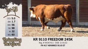 Lot #13 - KR 9110 FREEDOM 245K