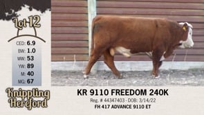 Lot #12 - KR 9110 FREEDOM 240K