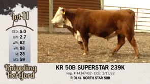 Lot #11 - KR 50B SUPERSTAR 239K