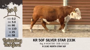 Lot #8 - KR 50F SILVER STAR 233K