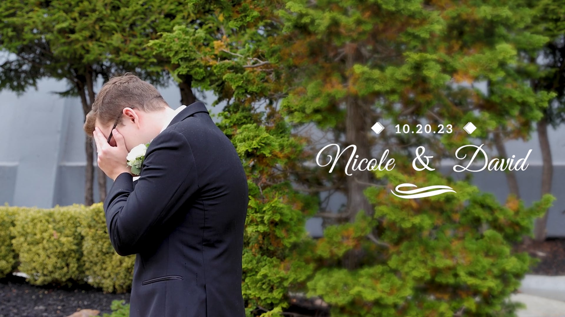 Nicole & David Wedding Highlight