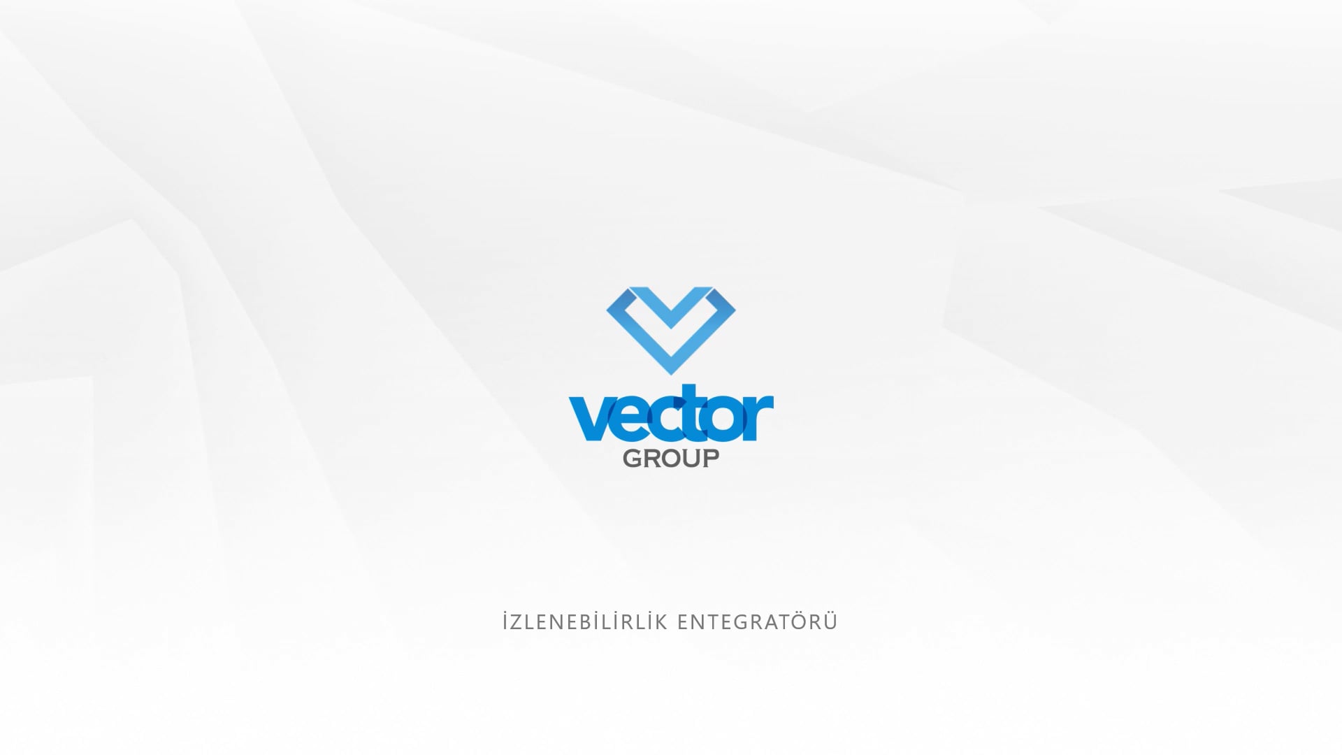 Vector Group