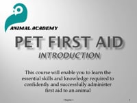 Animal Care &amp; First Aid Module 1