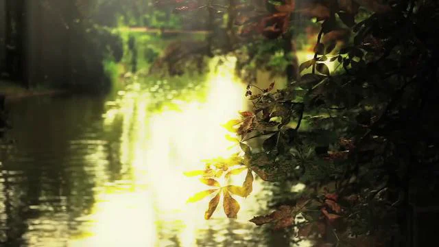 Dream on Vimeo