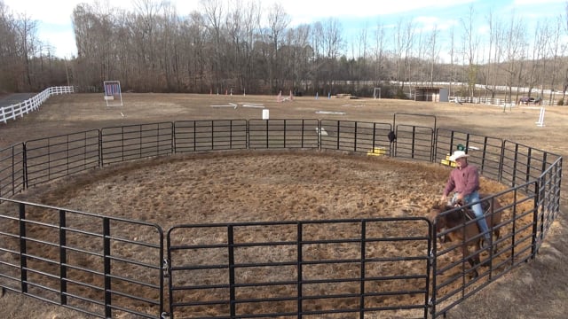 Mocha Day 16: We have the CANTER, yeeha