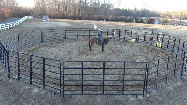 Mocha Day 15: Great lesson under saddle