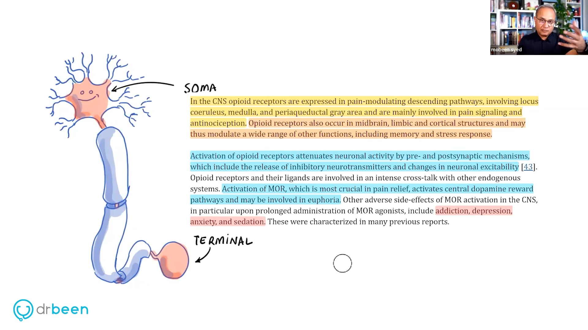 Opioids and Opioid Receptors (Pain Part 4)