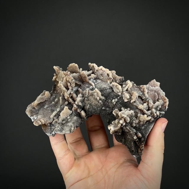 Quartz cast after Calcite (rare New Mexico)