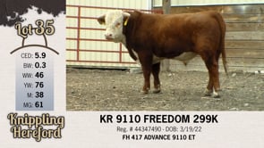 Lot #35 - KR 9110 FREEDOM 299K