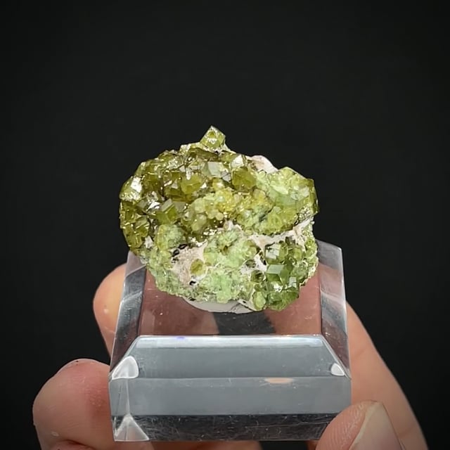 Andradite var. Demantoid Garnet (MINDAT BENEFIT AUCTION)