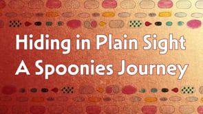 Hiding in Plain Sight: A Spoonies Journey
