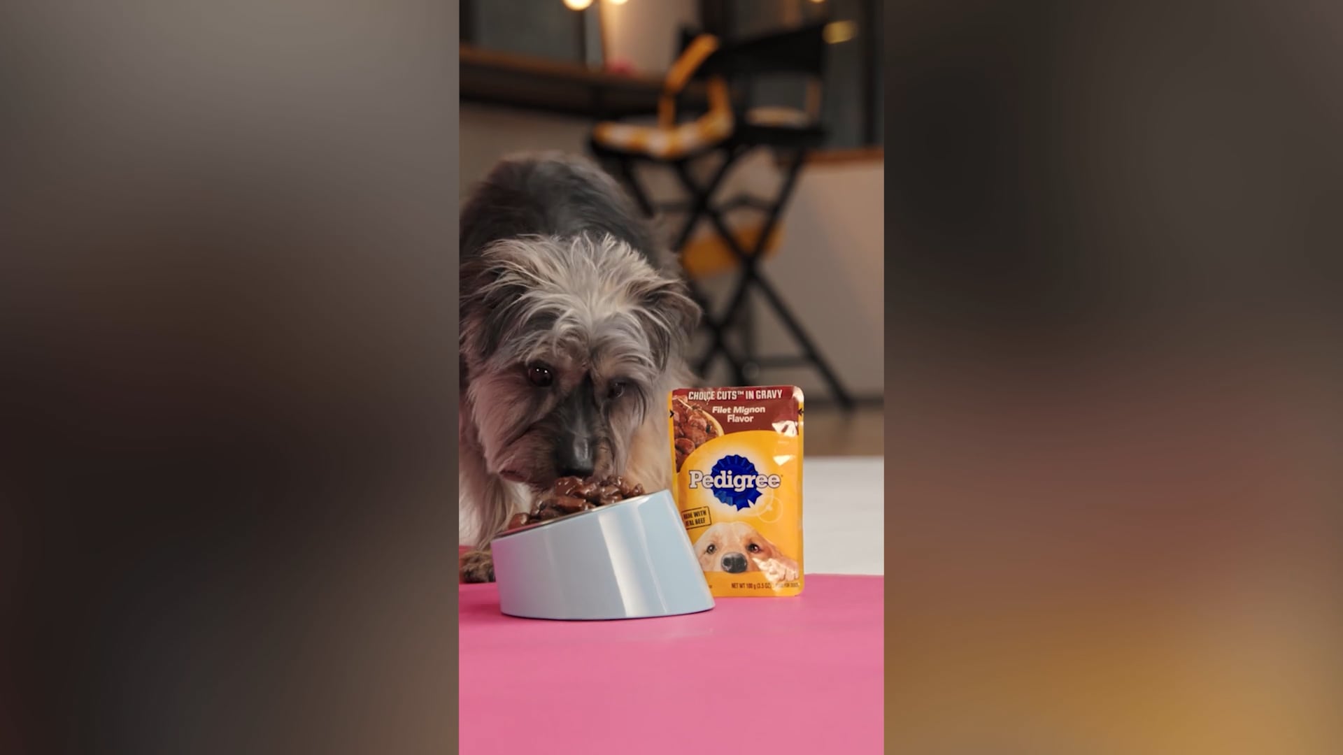 Pedigree | The Good Life | Cheers