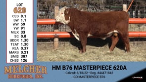 Lot #620 - HM B76 MASTERPIECE 620A