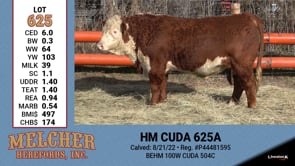 Lot #625 - HM CUDA 625A