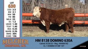 Lot #630 - HM 8138 DOMINO 630A
