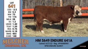 Lot #641 - HM S649 ENDURE 641A