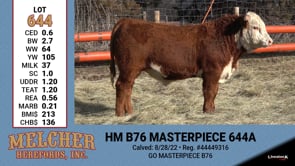 Lot #644 - HM B76 MASTERPIECE 644A