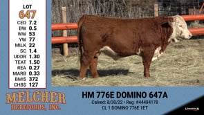 Lot #647 - HM 776E DOMINO 647A