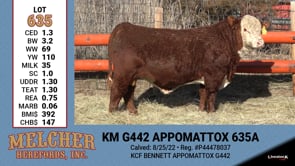 Lot #635 - KM G442 APPOMATTOX 635A
