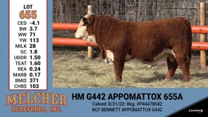 Lot #655 - HM G442 APPOMATTOX 655A