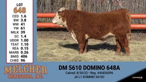 Lot #648 - DM 5610 DOMINO 648A