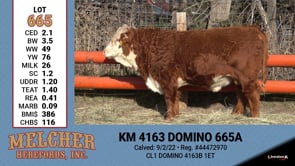 Lot #665 - KM 4163 DOMINO 665A