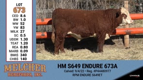 Lot #673 - HM S649 ENDURE 673A