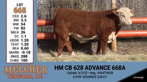 Lot #668 - HM CB 628 ADVANCE 668A