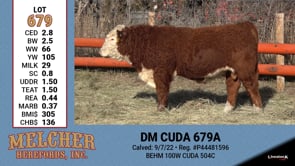 Lot #679 - DM CUDA 679A