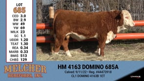 Lot #685 - HM 4163 DOMINO 685A