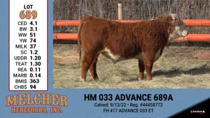 Lot #689 - HM 033 ADVANCE 689A