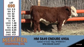 Lot #690 - HM S649 ENDURE 690A