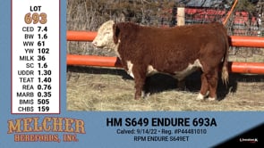 Lot #693 - HM S649 ENDURE 693A