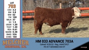 Lot #703 - HM 033 ADVANCE 703A