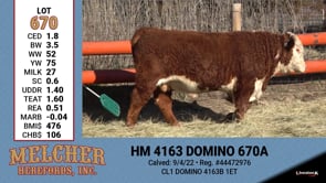 Lot #670 - HM 4163 DOMINO 670A