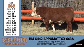 Lot #663 - HM G442 APPOMATTOX 663A
